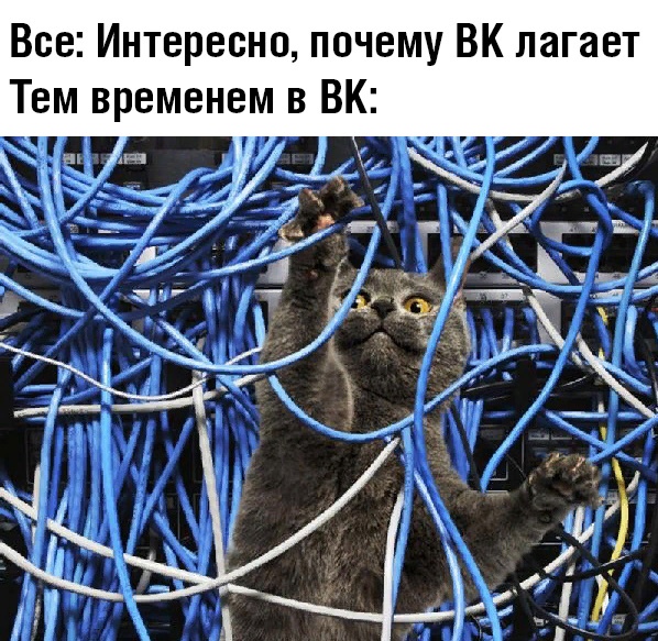 Вечерние приколы