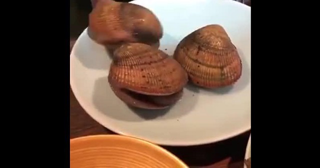 Официант, кажется, мои моллюски недоварены