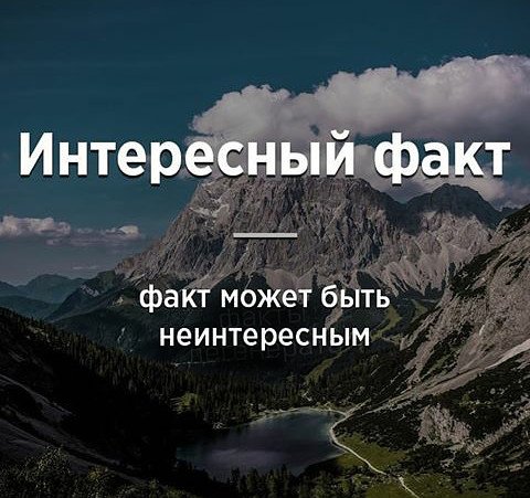 Смешные приколы?