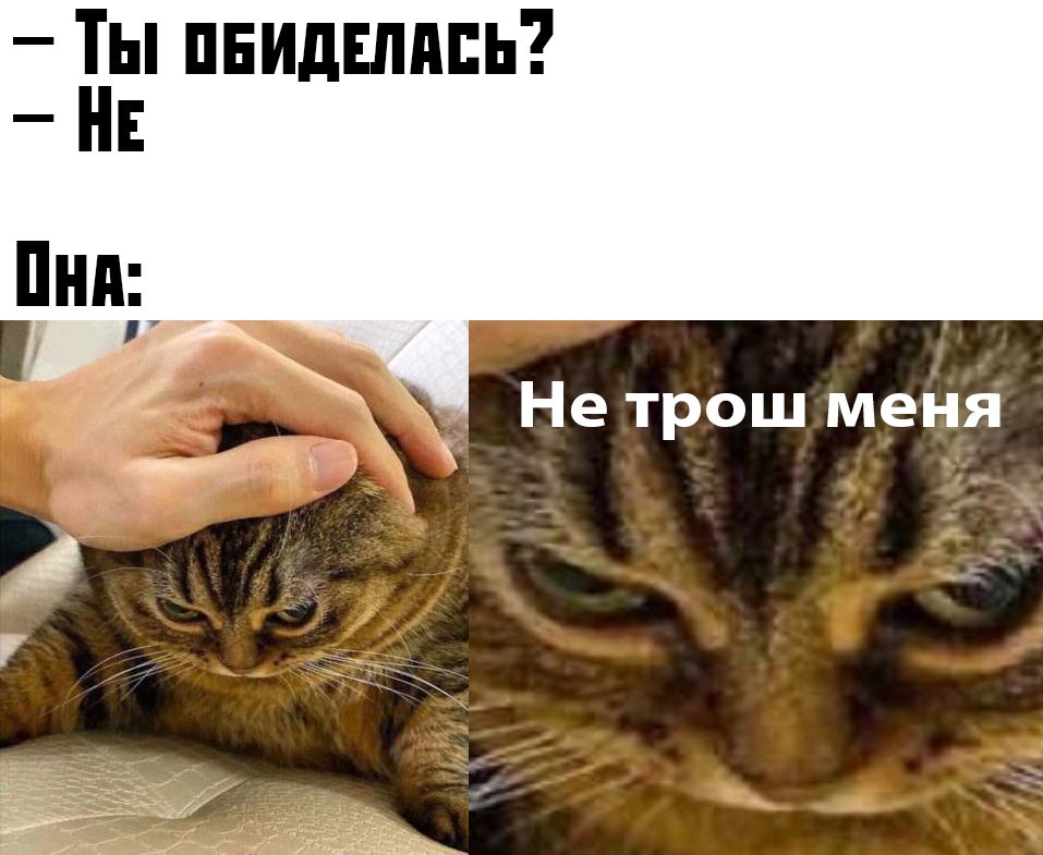 Прикольчики