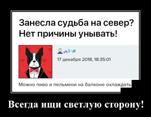 Демотиваторы