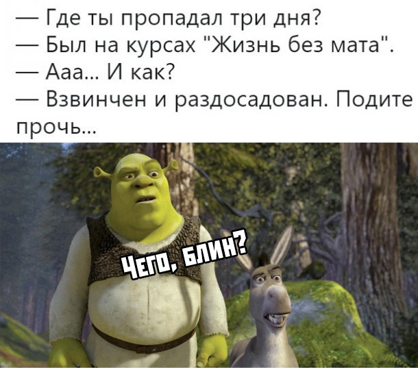 Прикольчики