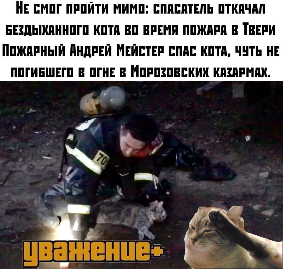 Прикольчики