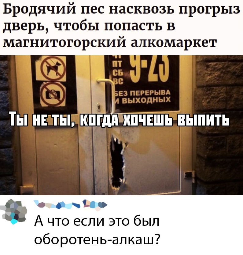 Прикольчики