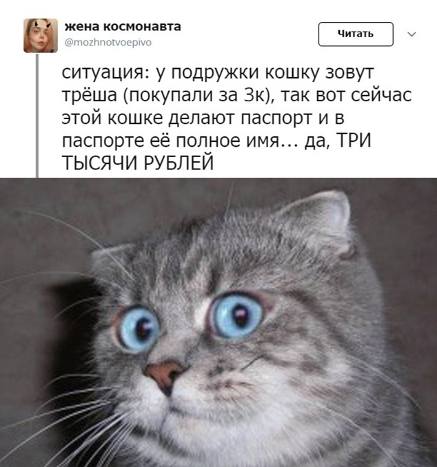 Прикольчики