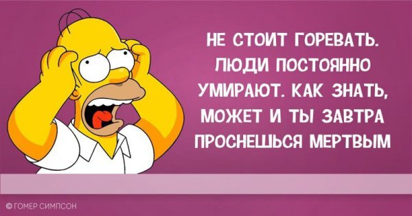 Гомер Симпсон и его фразы, наполненные сарказмом, глупостью и чем-то жёлтым