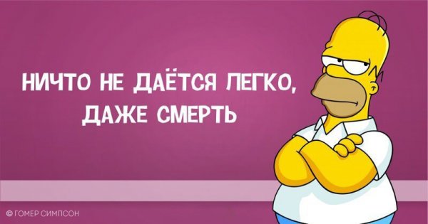 Гомер Симпсон и его фразы, наполненные сарказмом, глупостью и чем-то жёлтым