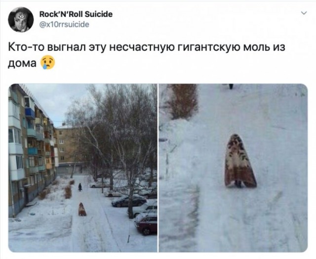 Вечерние приколы