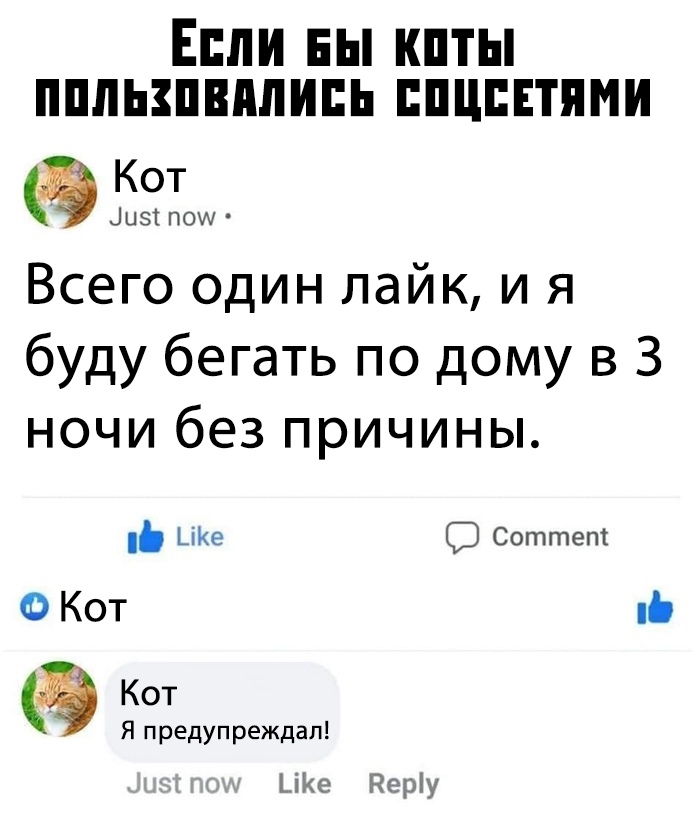 Вечерние приколы