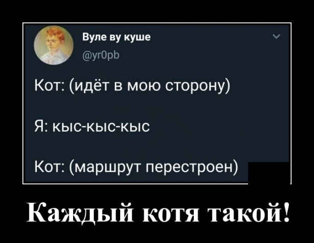 Демотиваторы