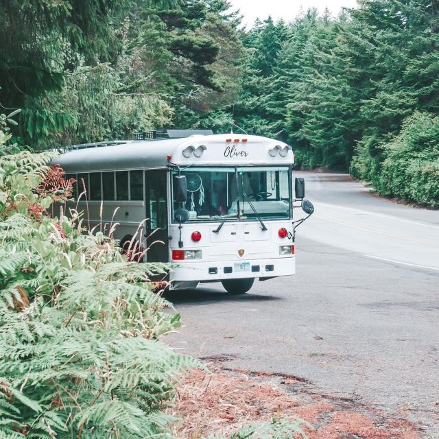 Семья из США переделала школьный автобус в дом мечты Всячина