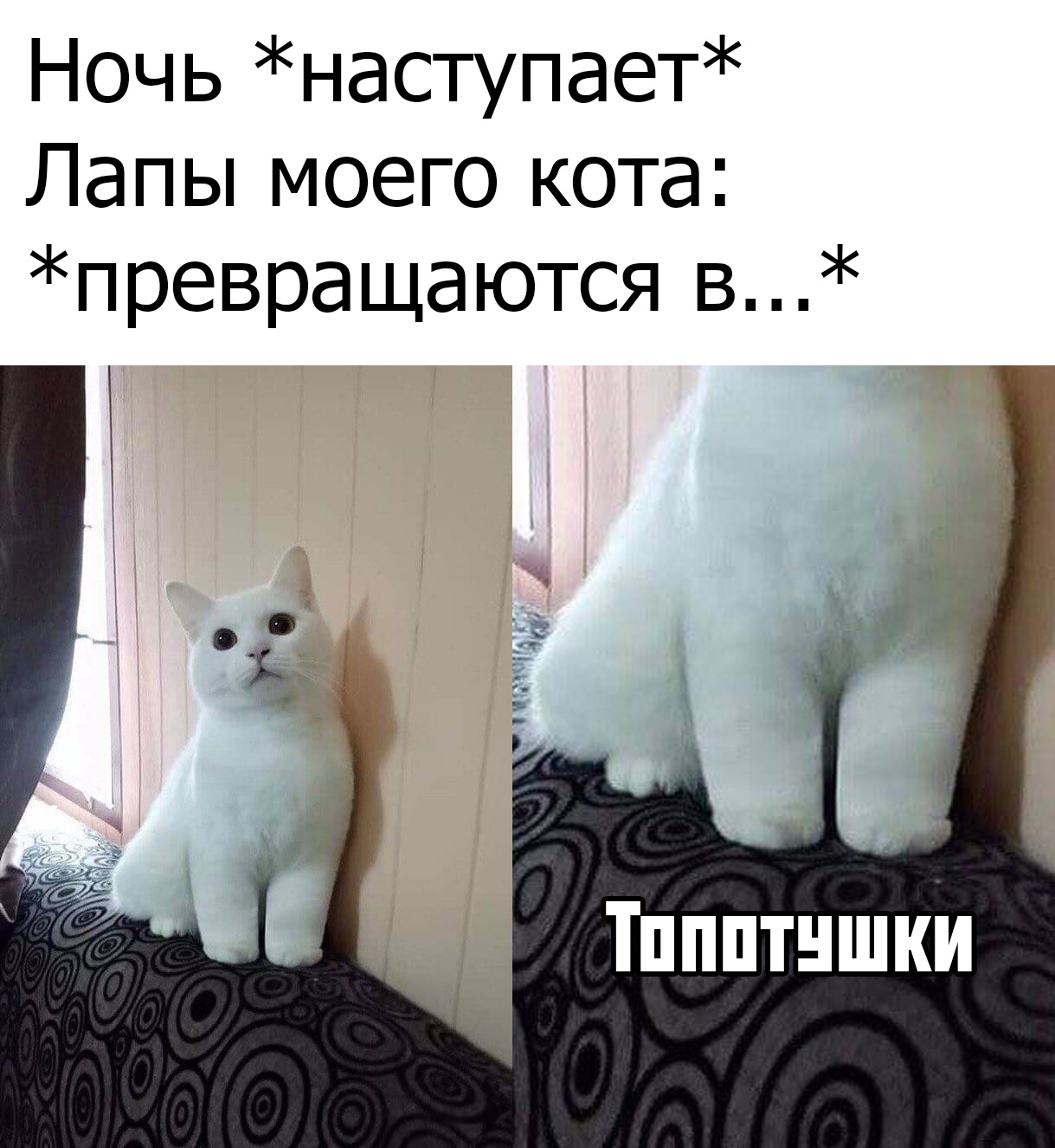 Прикольчики