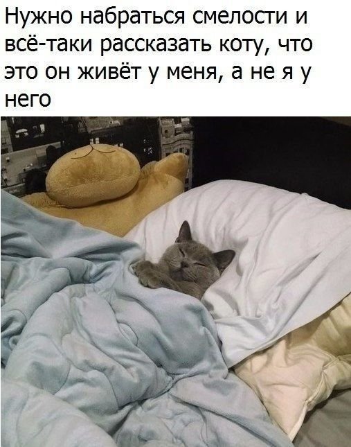 Улыбнемся?