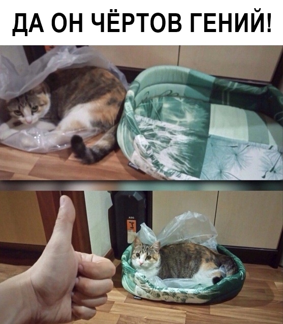 Вечерние приколы