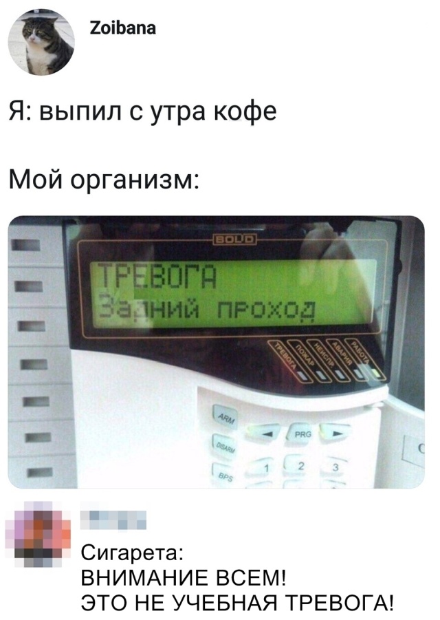 Вечерние приколы