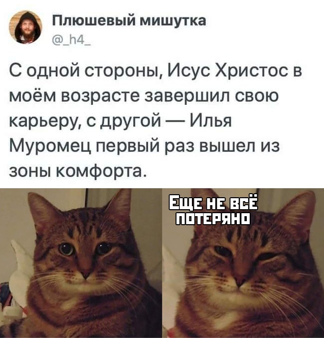 Вечерние приколы