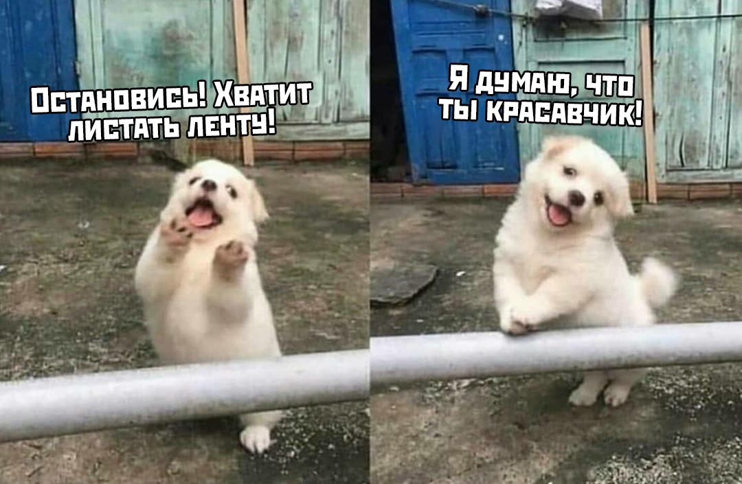 Прикольчики