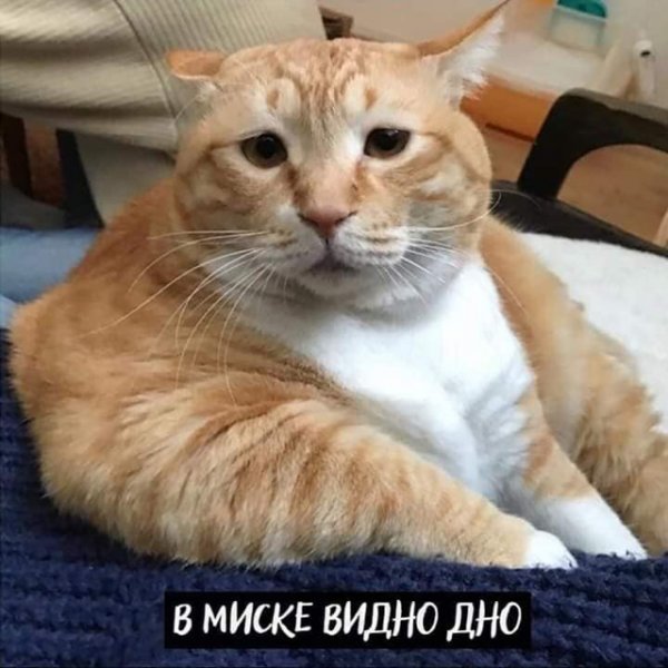 Когда же это все закончится?