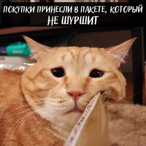 Когда же это все закончится?