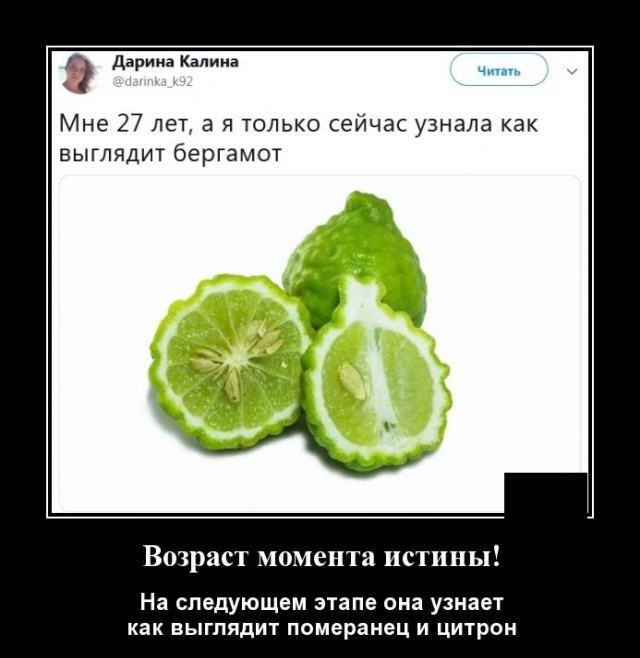 Демотиваторы