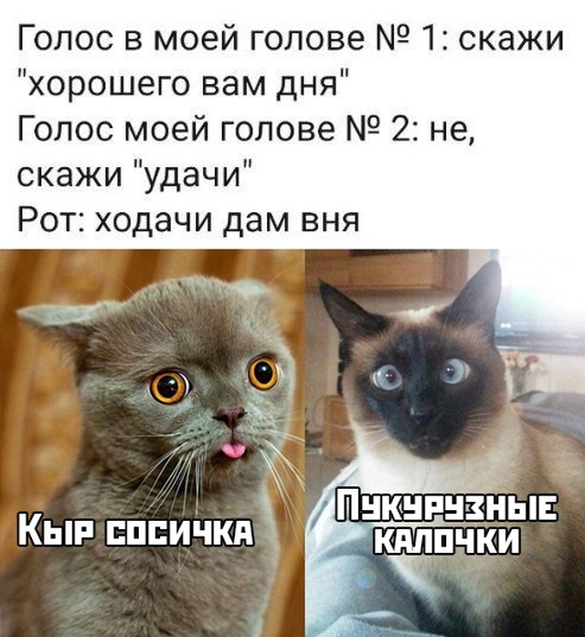 Прикольчики