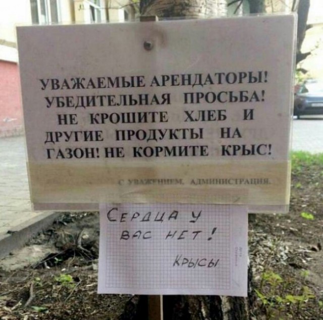 Вечерние приколы