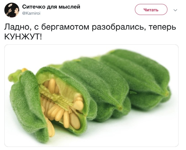 Вечерние приколы