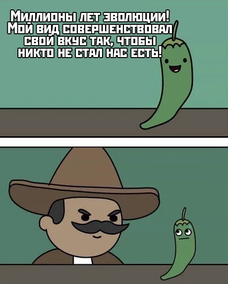 Прикольчики