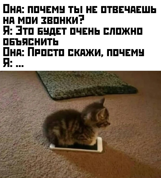 Прикольчики