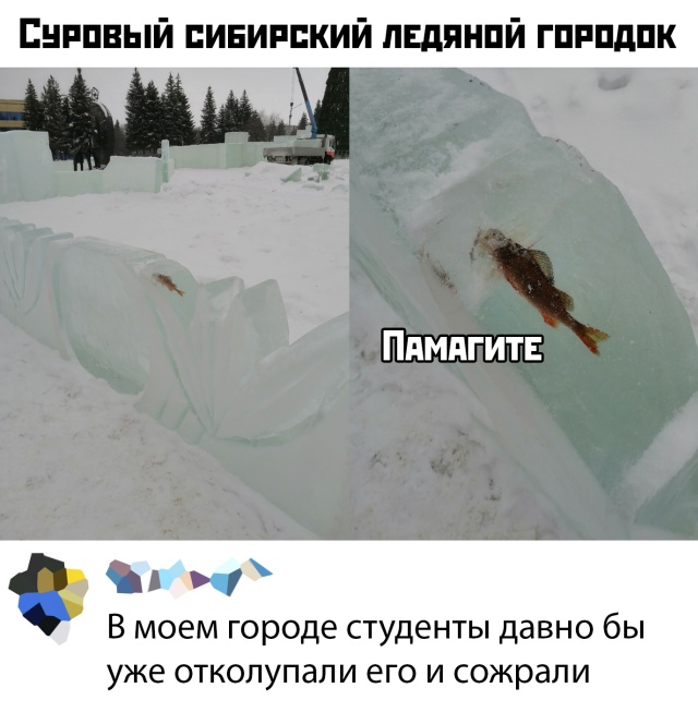 Прикольчики