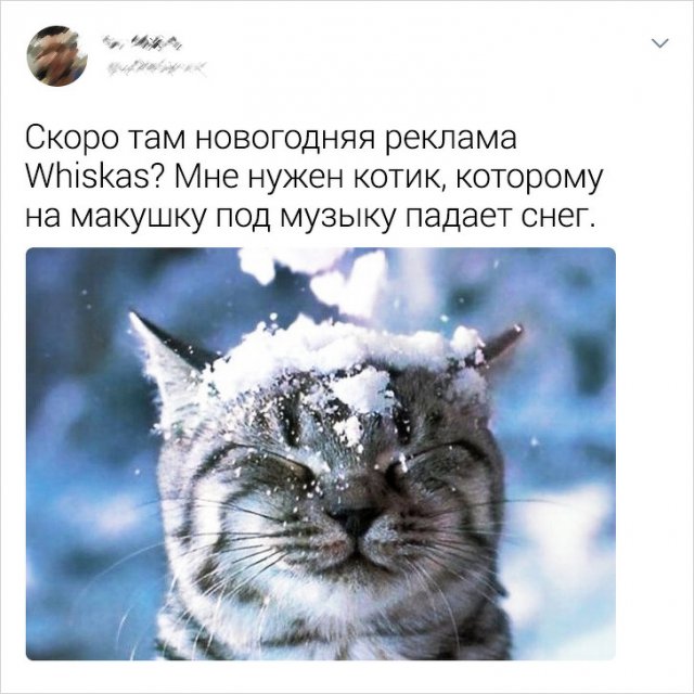 Люди, которые явно очень ждут Новый год