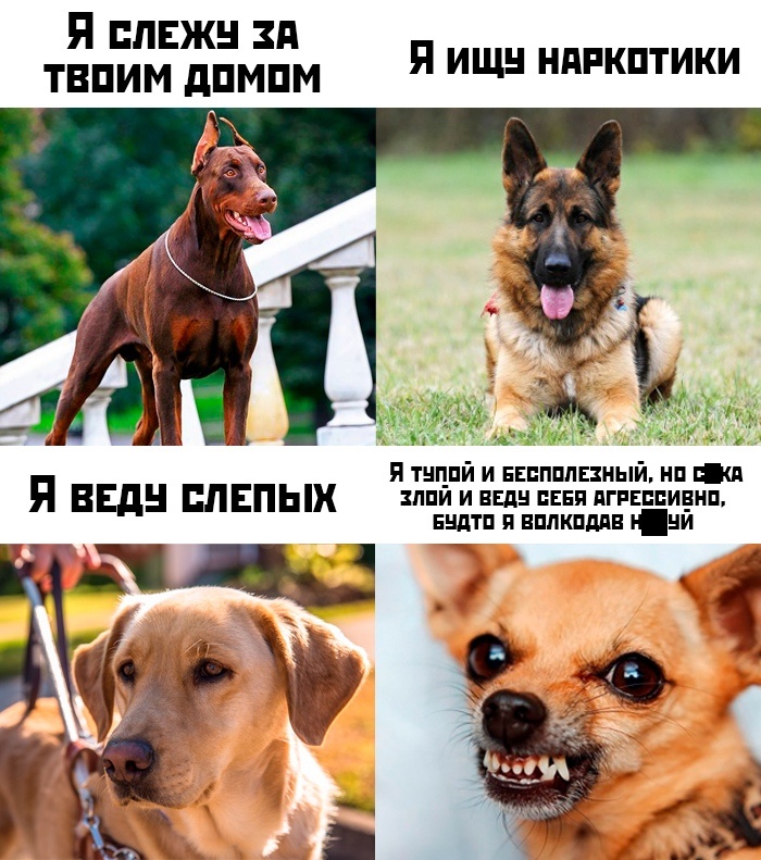 Прикольчики