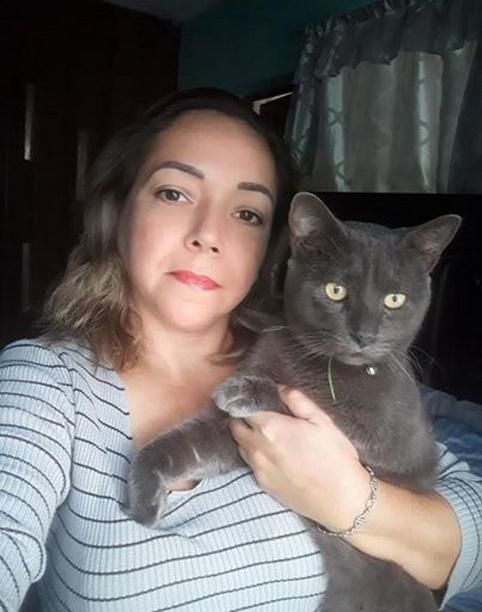 Двойная жизнь мексиканского кота