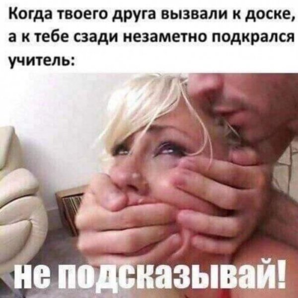 Юмор на любителя