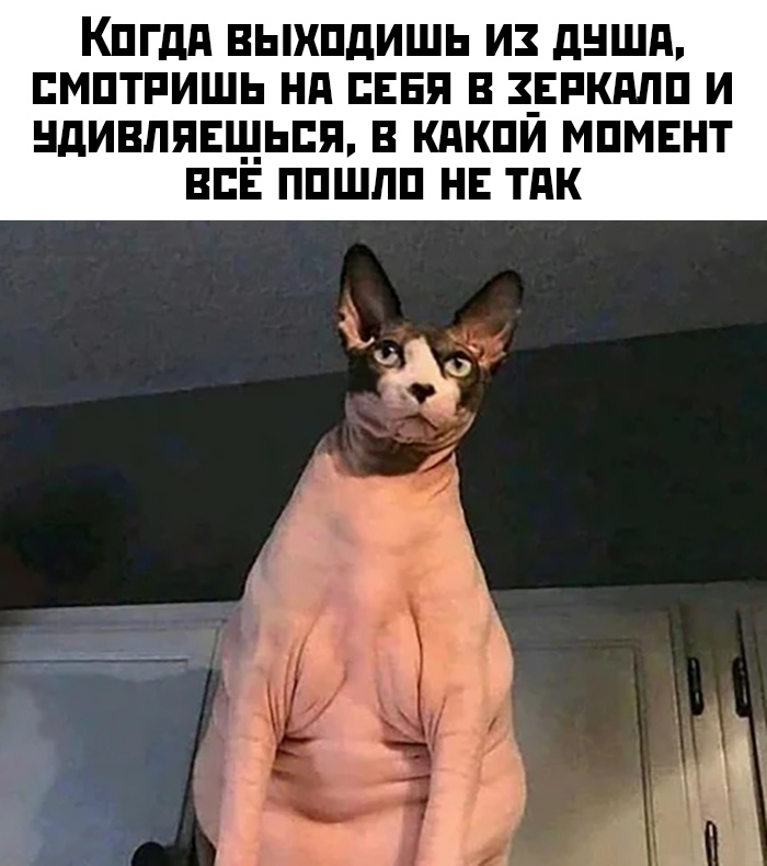 Вечерние приколы