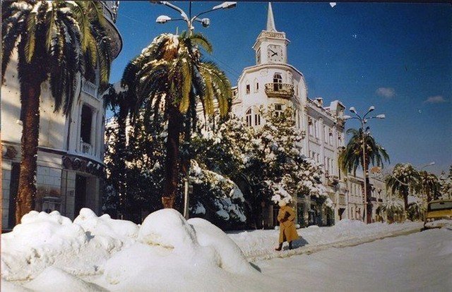 Пальмы и снег. Как зимуют в Абхазии Несмотря, буквально, жителям, «суровую», прогнозируют, снова, синоптики, Кстати, красиво, смотрится, часов, несколько, лежит, Абхазии, Правда, начале, например, выпадает, иногда, градусов