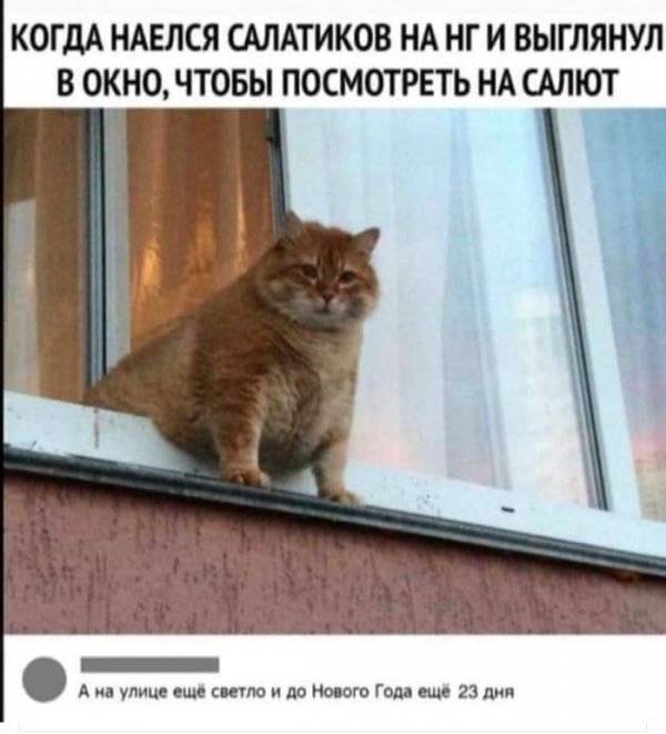 Юмор на любителя