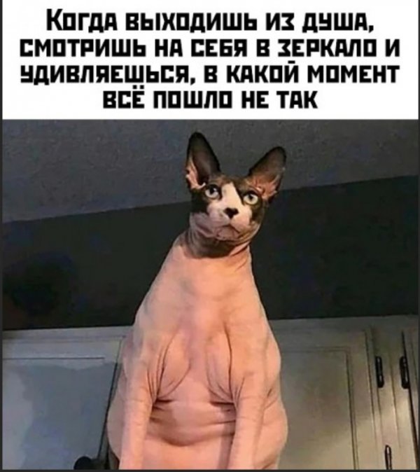 Юмор на любителя