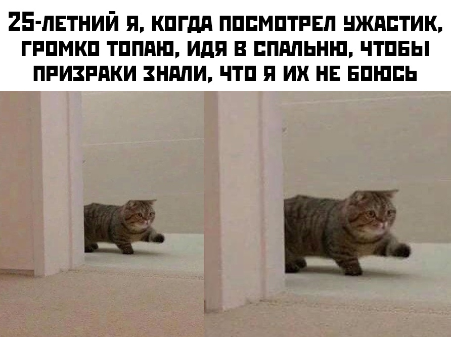 Прикольчики