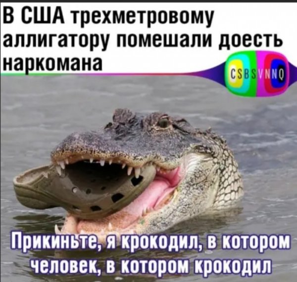 Юмор на любителя