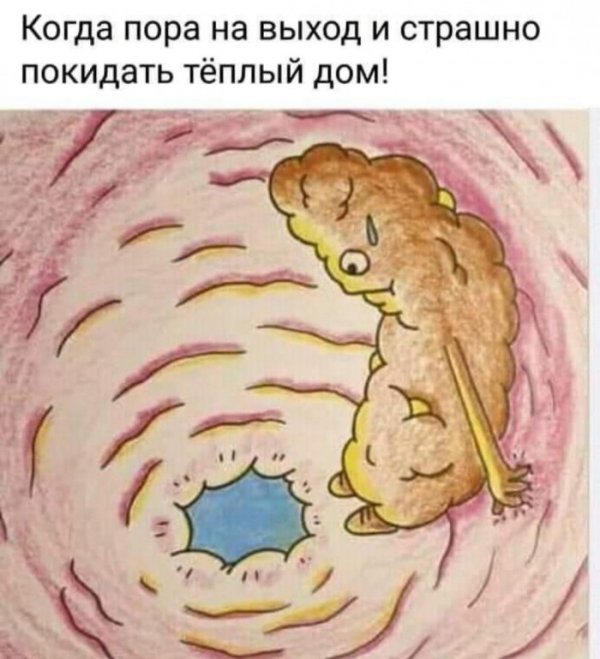 Юмор на любителя