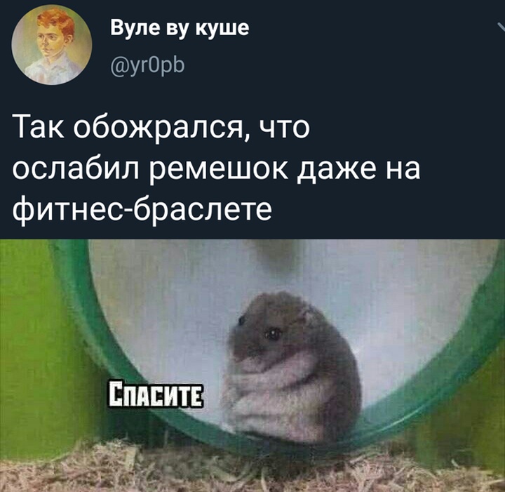 Вечерние приколы