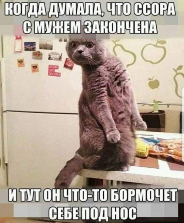 Юмор на любителя