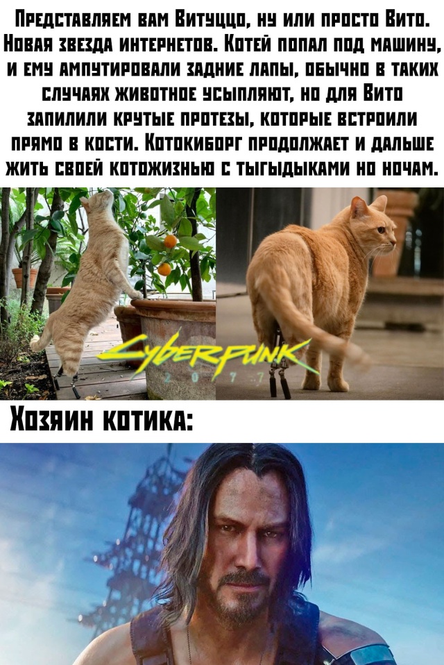 Прикольчики