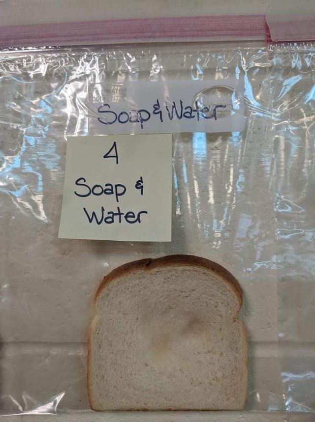 Американским школьникам на примере хлеба объяснили, зачем мыть руки