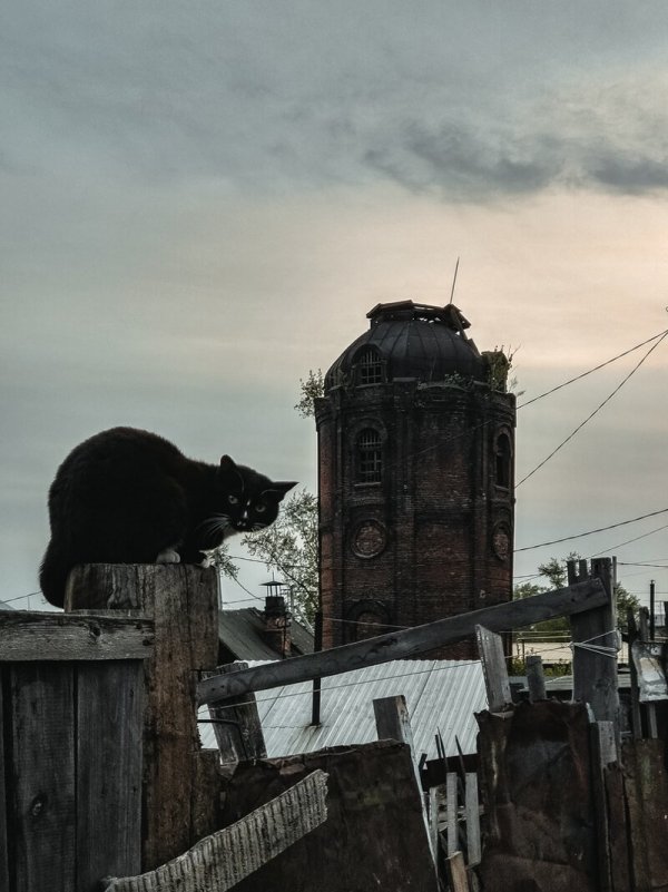 Нетуристический Новосибирск