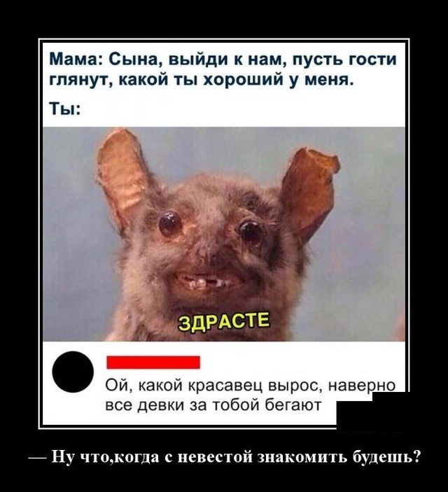 Демотиваторы