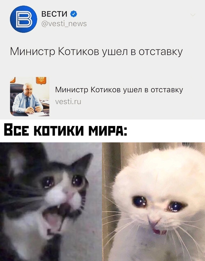 Прикольчики