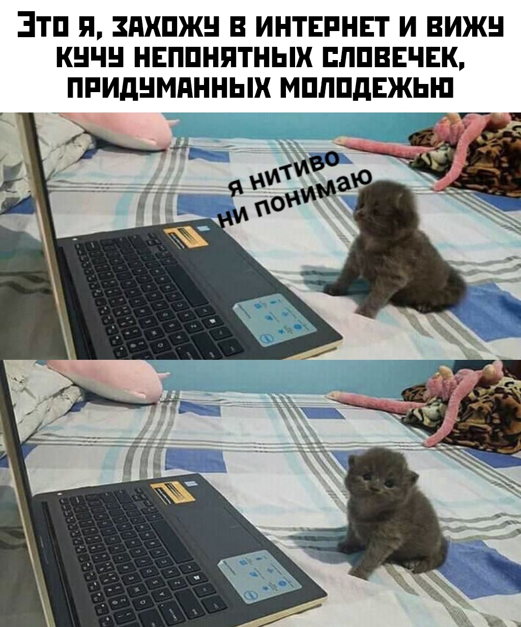 Прикольчики