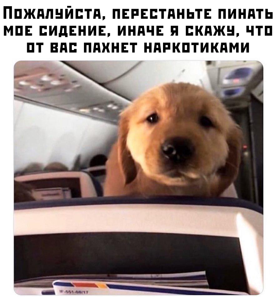 Прикольчики